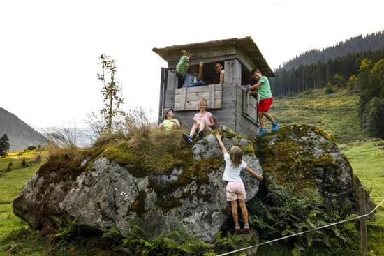Familiennest Bild 8