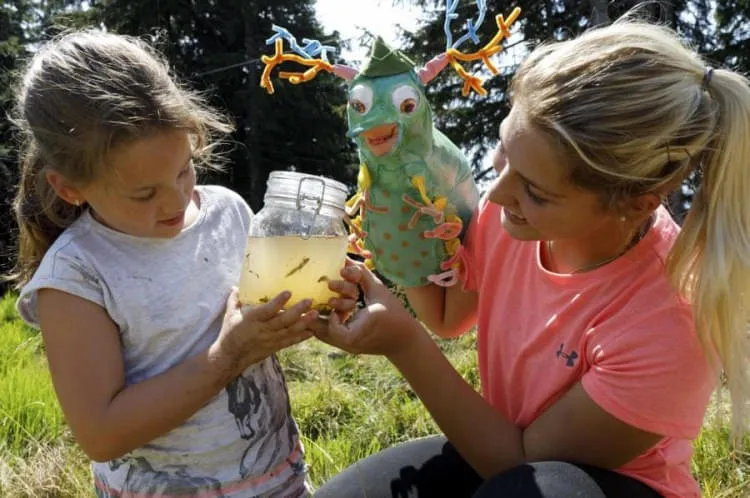 Familiennest-Wildschoenau Familiennest-Wildschoenau