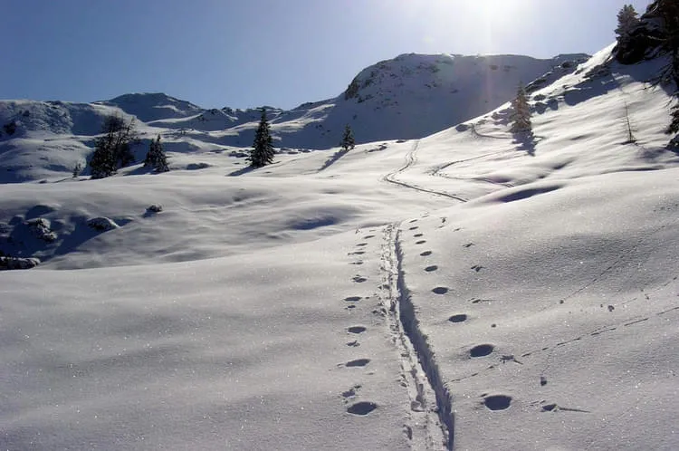 Skitouren
