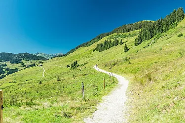 holzalm_wildschnau__1.jpg