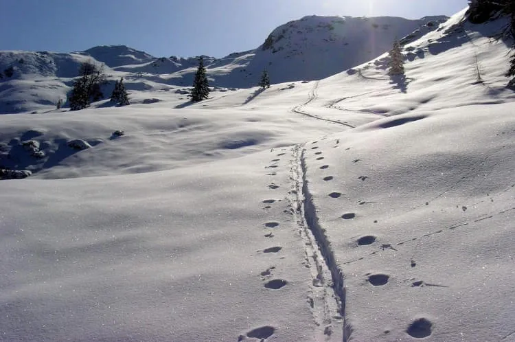 Skitouren Skitouren